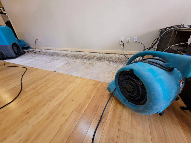 Professional Structural Drying technician working in Williamstown, NJ